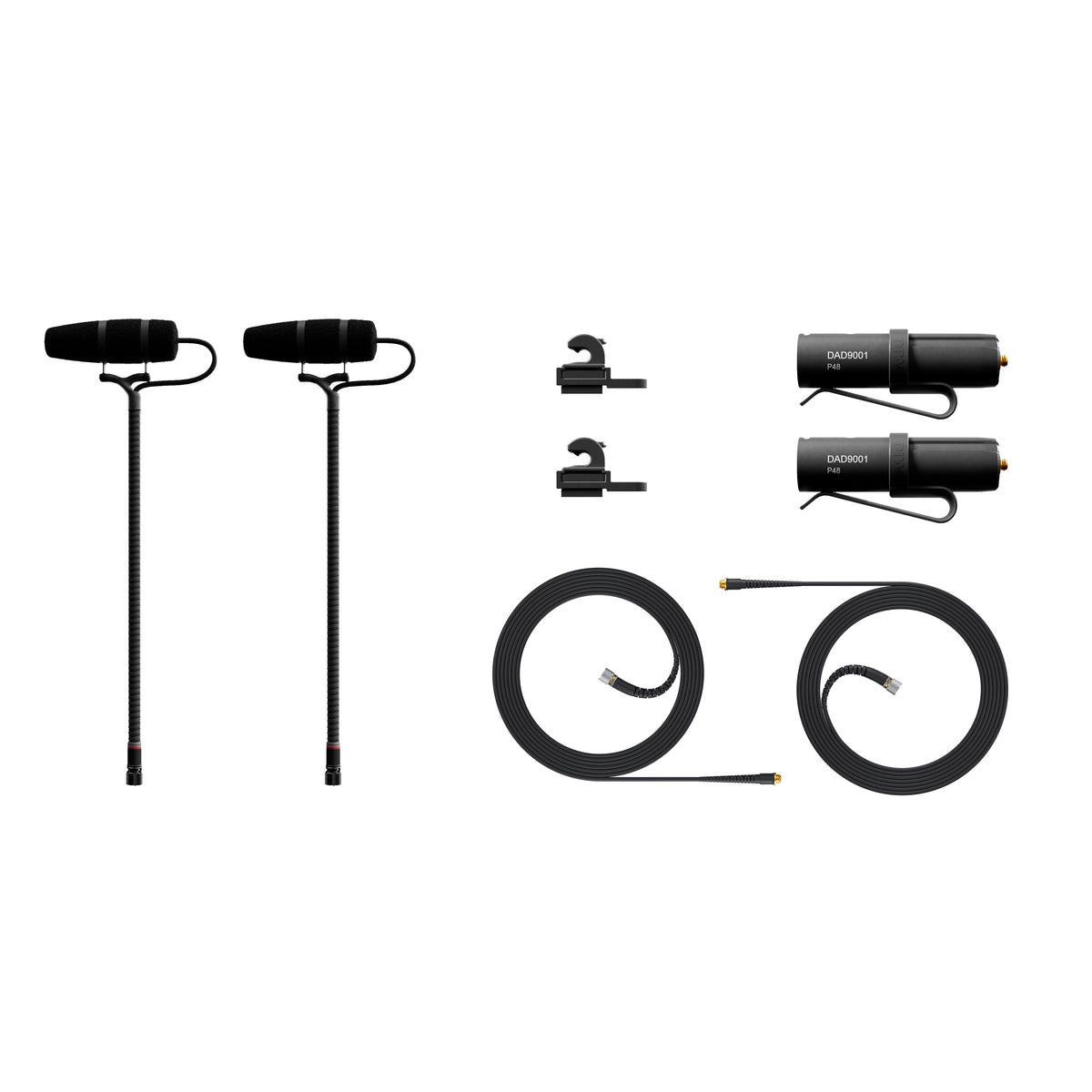 DPA 4099 CORE+ stereo system for accordion contents