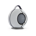 Mania Light Grey with dock
