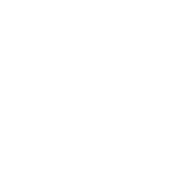 Austrian Audio logo