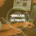 Sibelius Ultimate Subscription (Renewal) 1yr