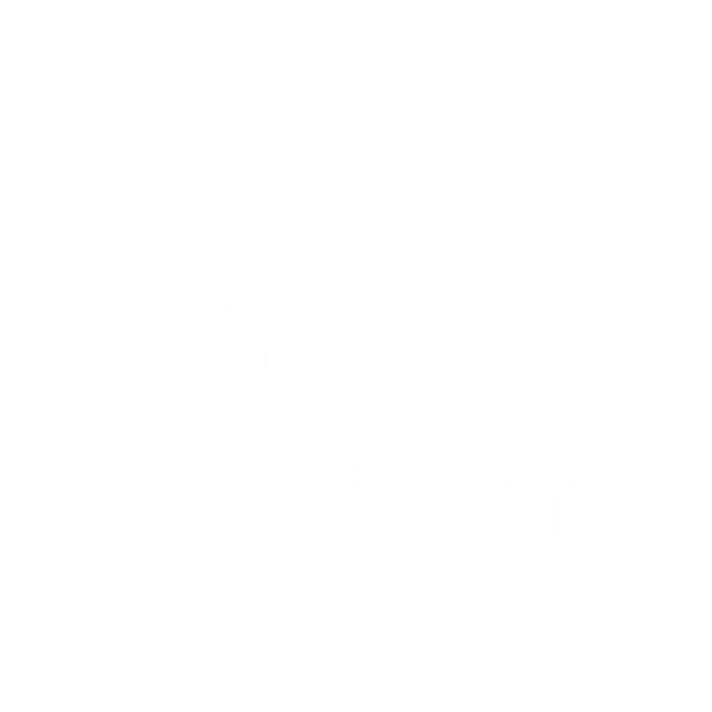 Behringer logo