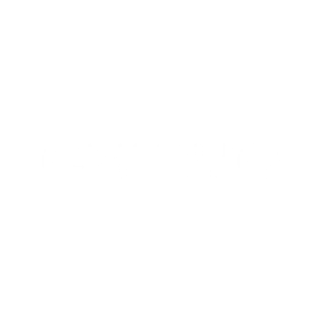 Chiayo logo