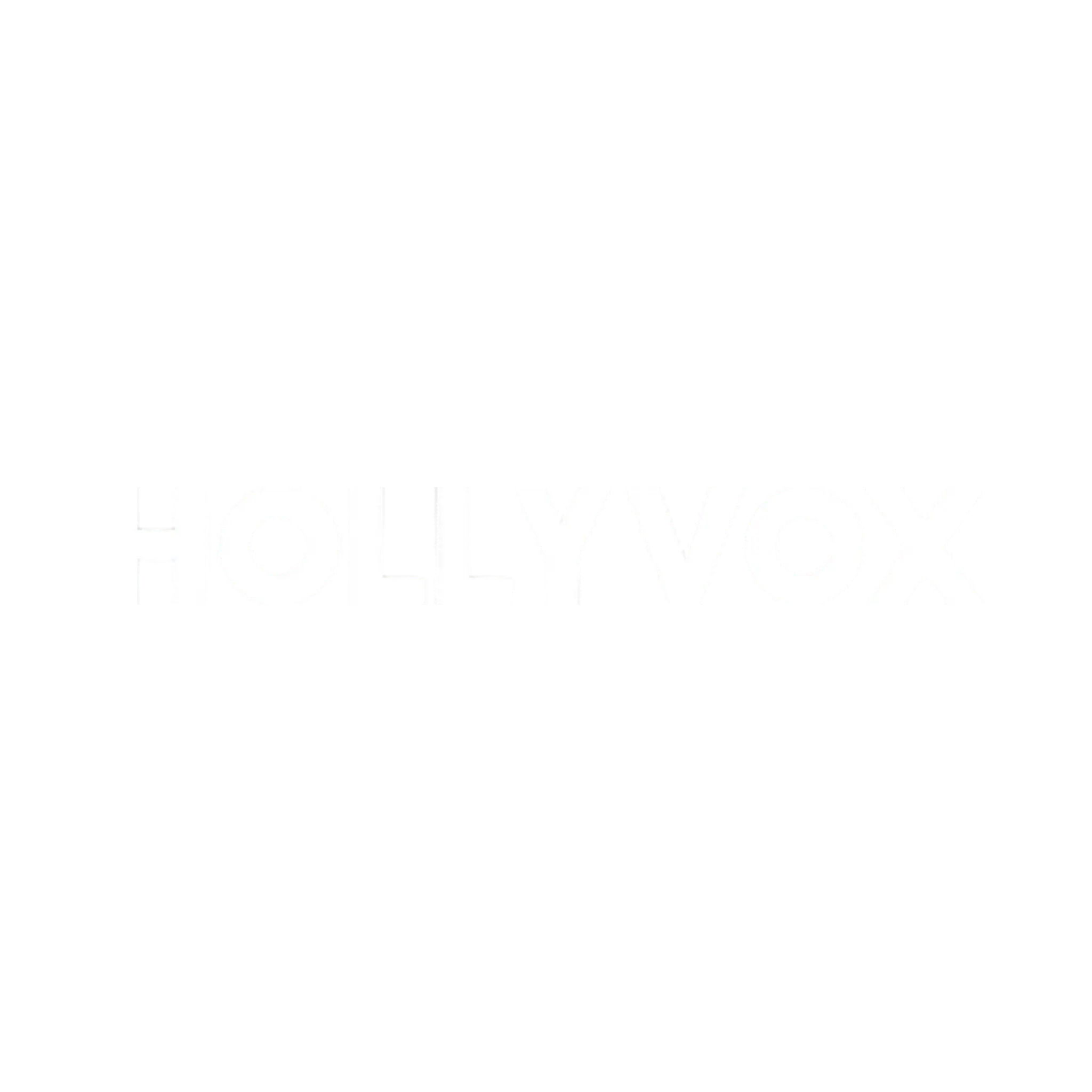 Hollyland Hollyvox