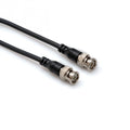 BNC58106