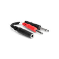 YPP136