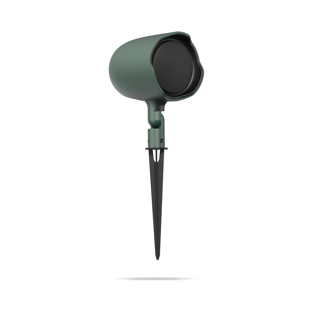GSF3-GN