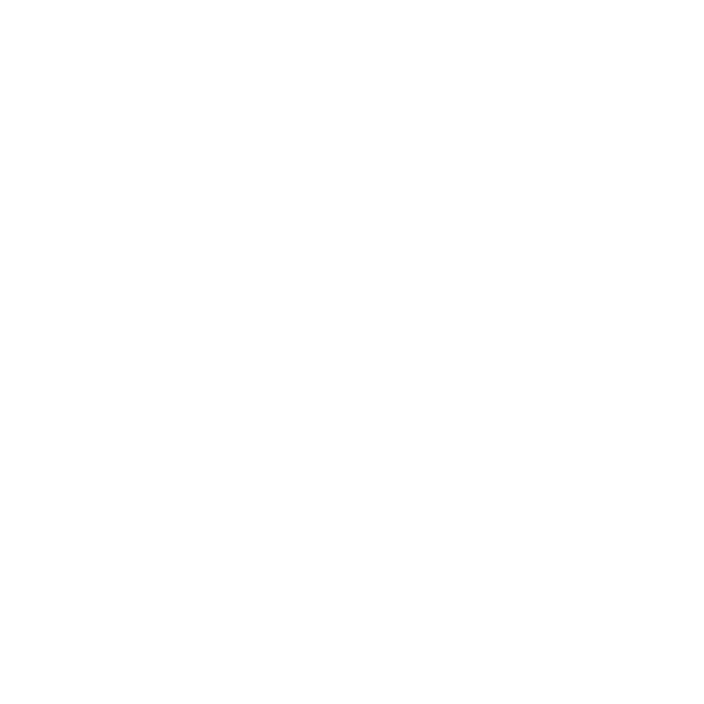 Palmer logo