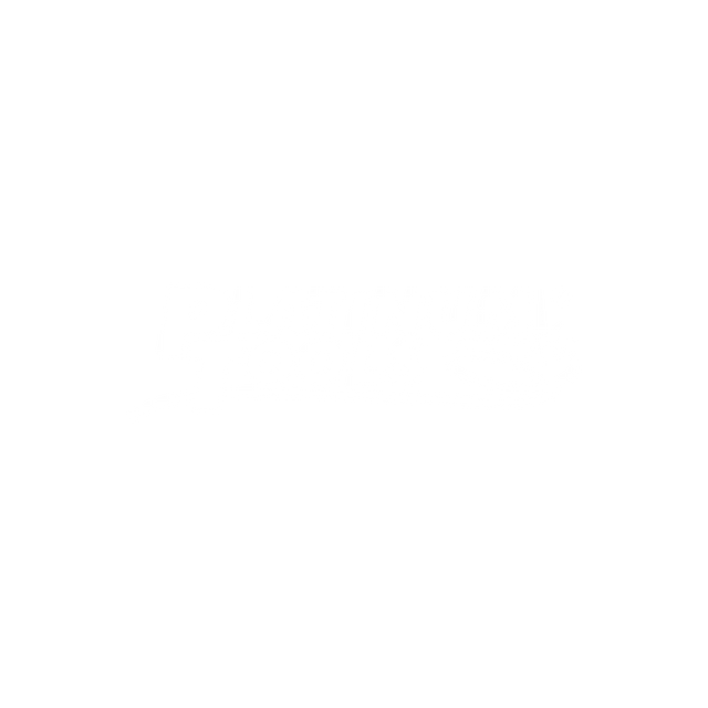 Platinum Tools logo