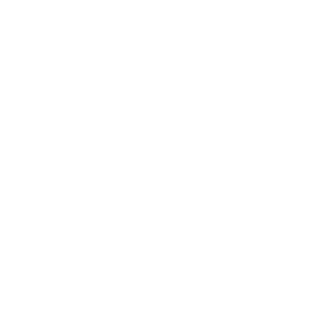 PSI Audio logo