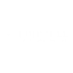 Punt Hill