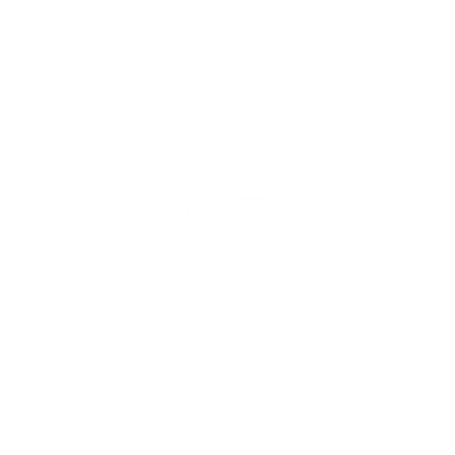 Safety Warehouse logo
