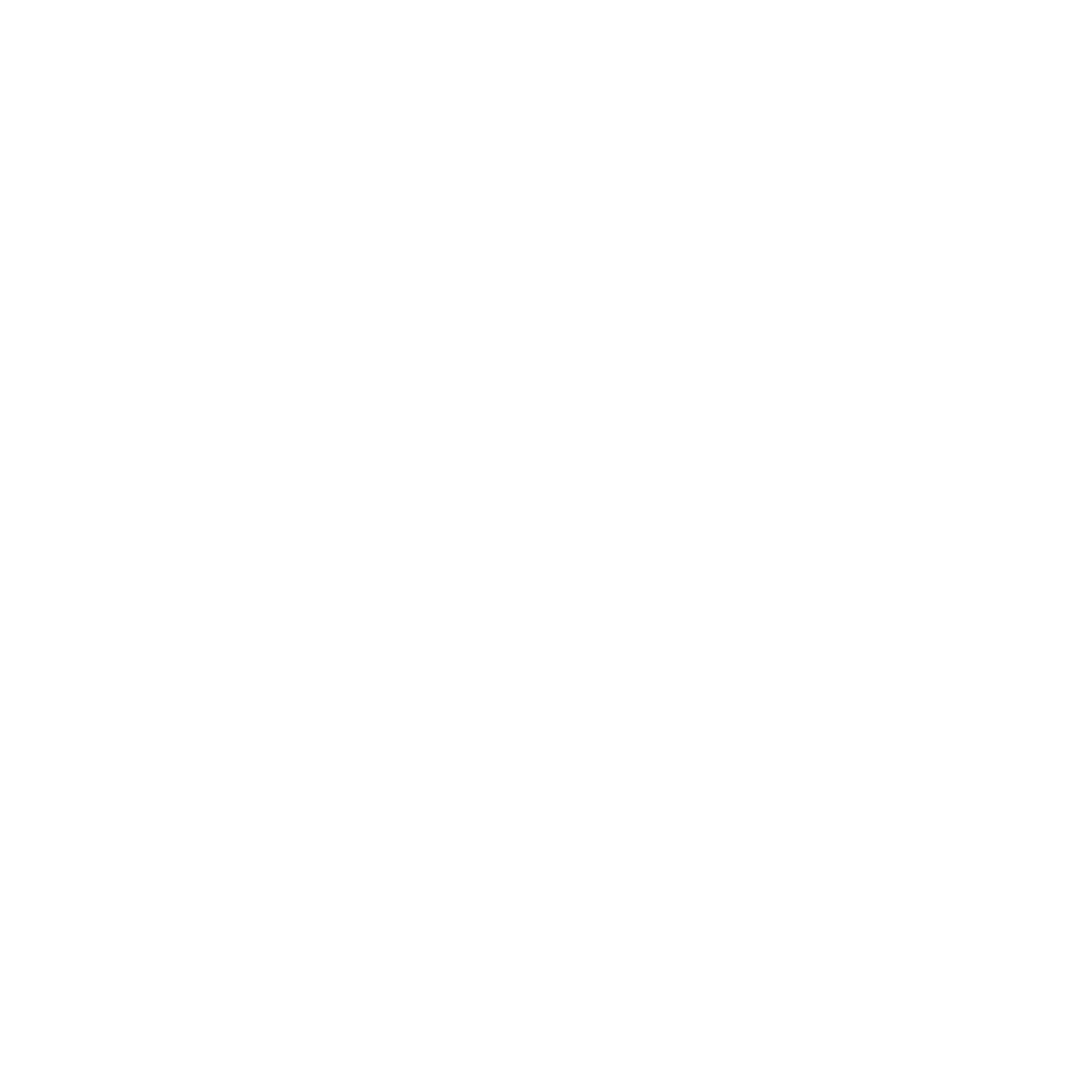 TURTLE AV