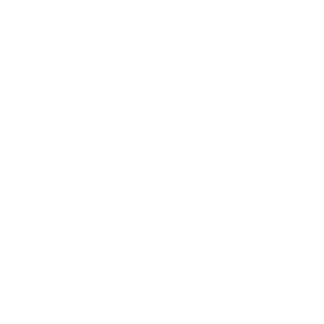 Velcro logo