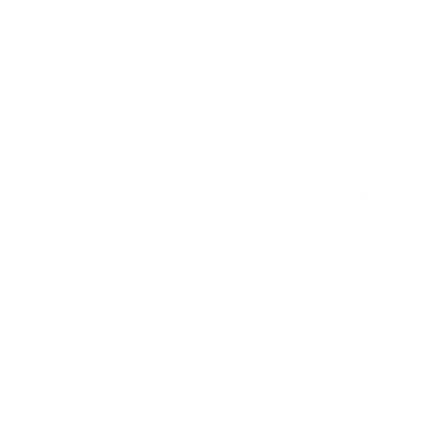 Viewsonic logo