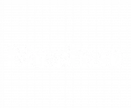 nashua_logo_light