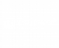 palmer_logo_light
